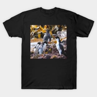 Snares Crested Penguins T-Shirt